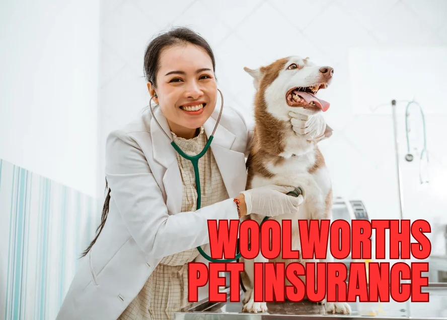 Woolworths Pet Insurance Login